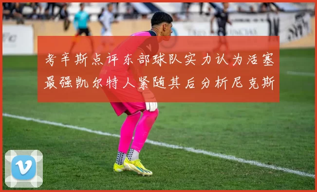 考辛斯点评东部球队实力认为活塞最强凯尔特人紧随其后分析尼克斯不足之处