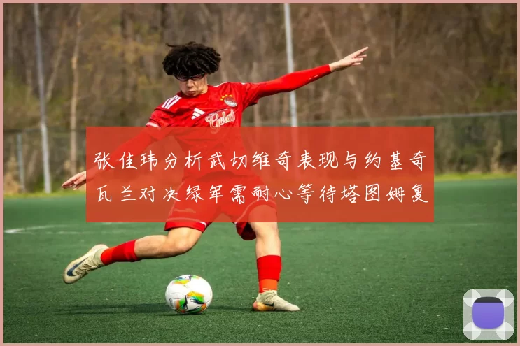 张佳玮分析武切维奇表现与约基奇瓦兰对决绿军需耐心等待塔图姆复出
